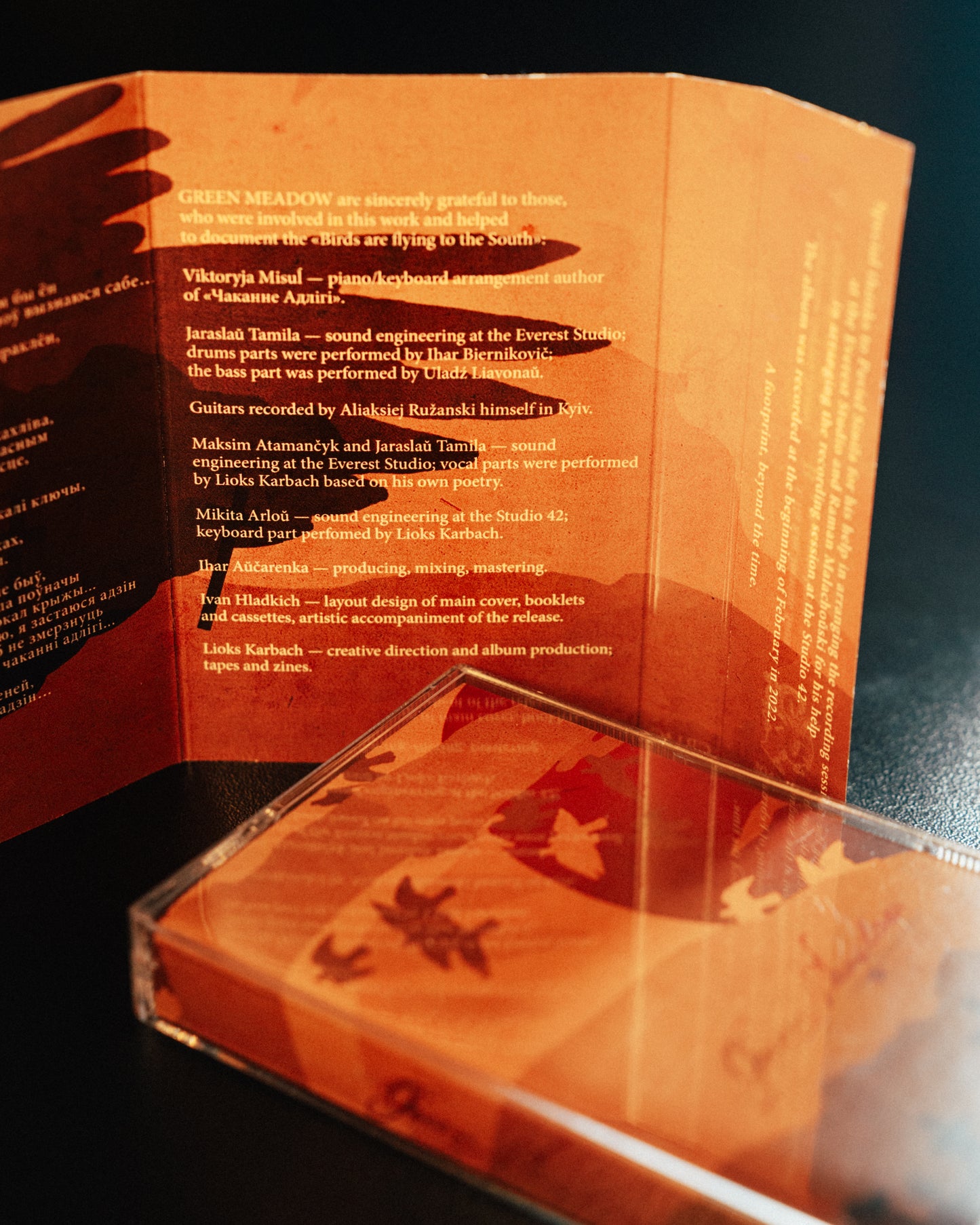 GREEN MEADOW "Birds Are Flying To The South" TAPE